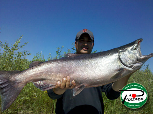 Orlandos salmon