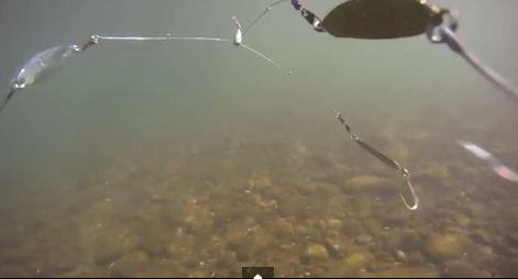 Alabama Rig Underwater