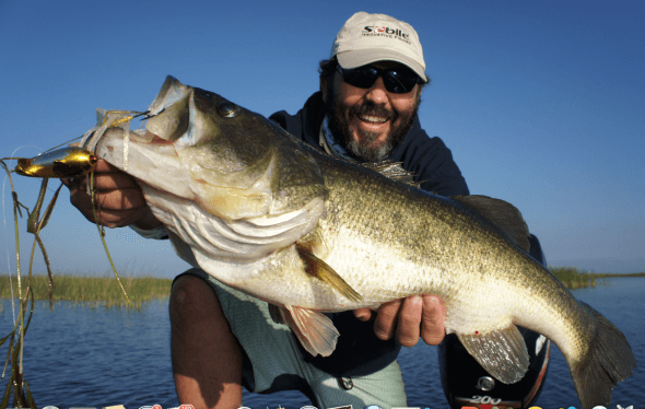 Patrick Sebile and potential record bass