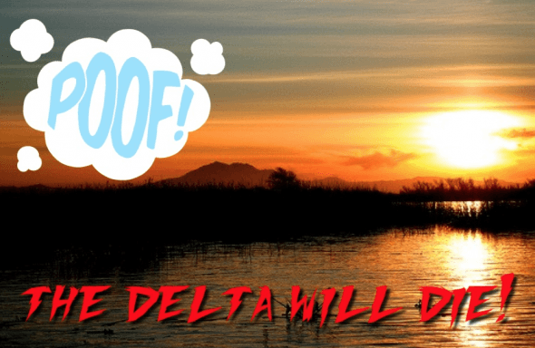 CA Delta