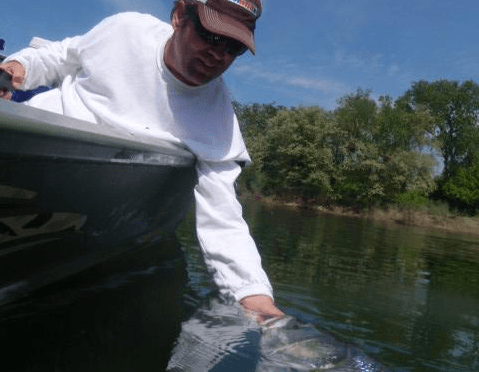 40 pound striper