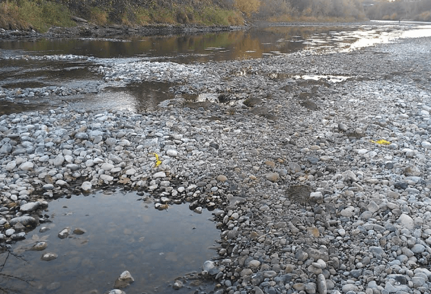 Dewatered Salmon Redd