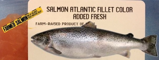 Farmed Rais Salmon: DANGER!